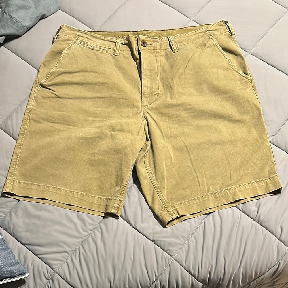 American Eagle Outfitters Tan Flat Front Shorts